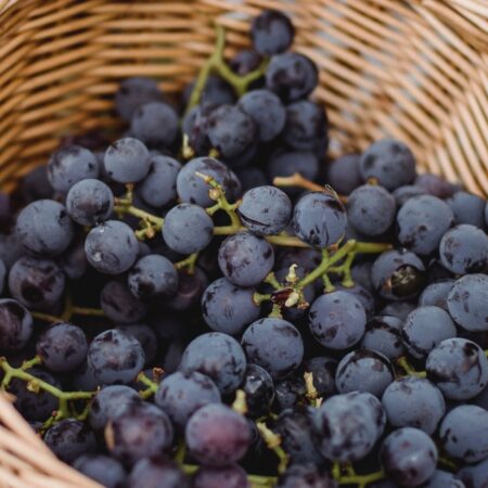 Concord Grape