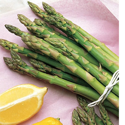 Heirloom Asparagus Original