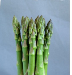Sequoia Asparagus