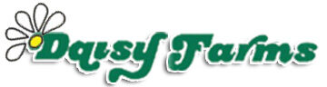 Daisy Farms