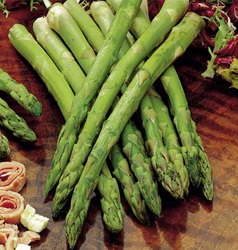 Jersey Knight Asparagus